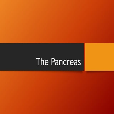 The pancrease 