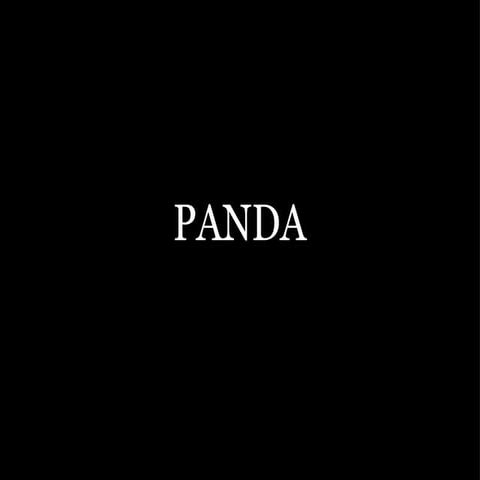 The panda project | PPT