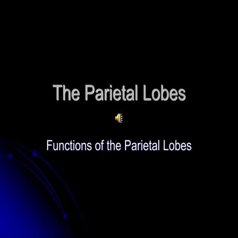 The_Parietal_Lobes.pdf