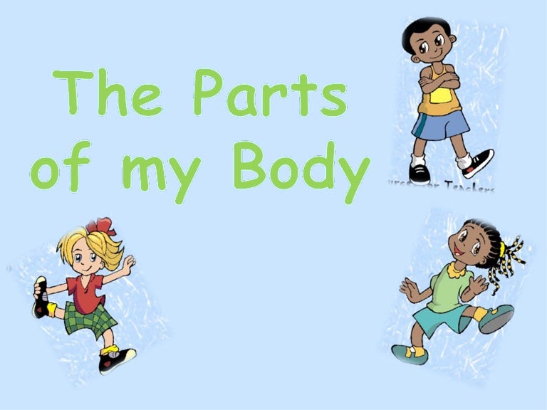 The parts of my Body