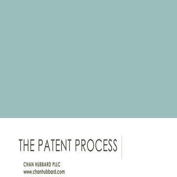 The Patent Process