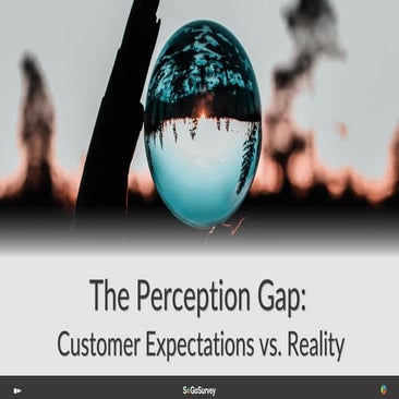 The Perception Gap: Customer Expectations vs. Reality