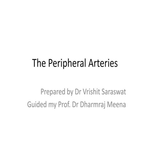 The peripheral arteries   