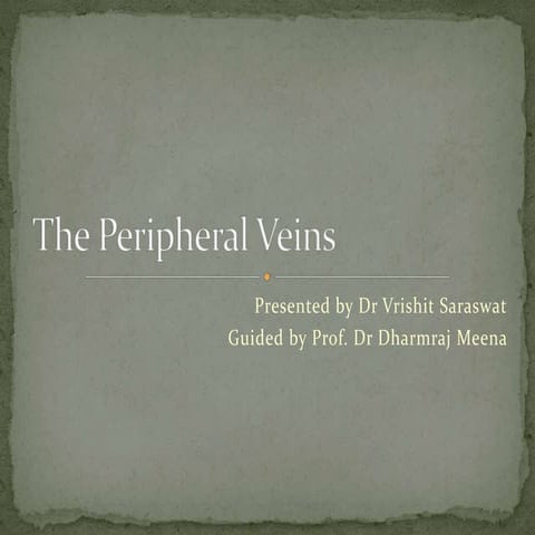 The peripheral veins