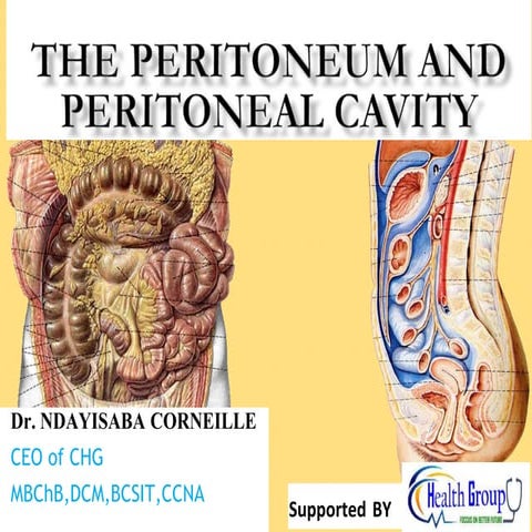 The peritoneum and peritoneal cavity.pptx