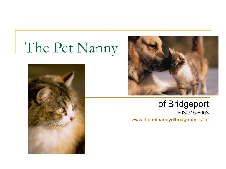 The Pet Nanny Presentation