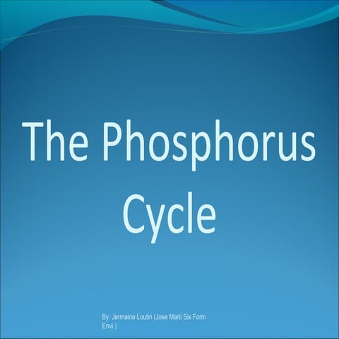 The phosphorus cycle