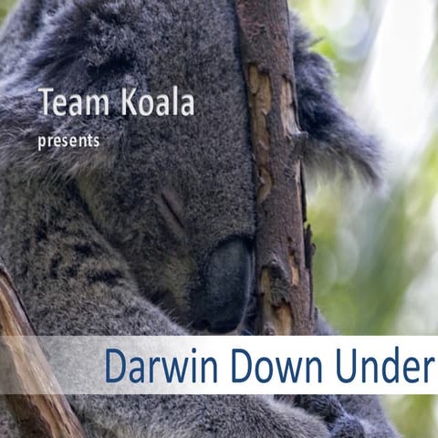 Darwin Down Under - a multimedia story