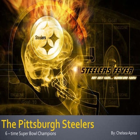 The pittsburgh steelers
