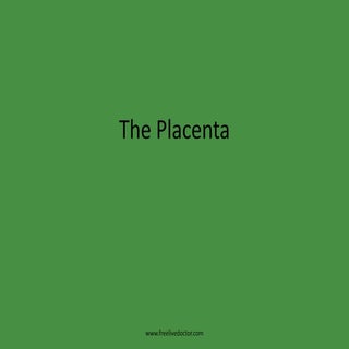 The placenta