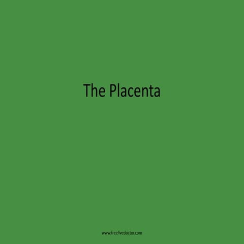 The placenta