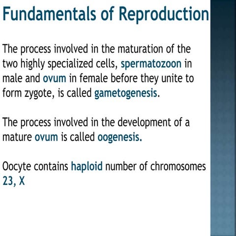 The Placenta and Fetal Membranes.pptx