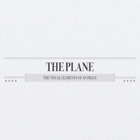 The plane