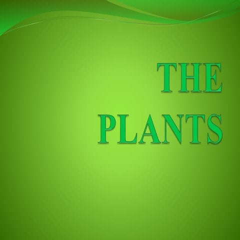 The plants george 5b primary