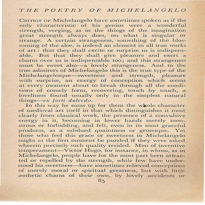 The Poetry Of Michelangelo