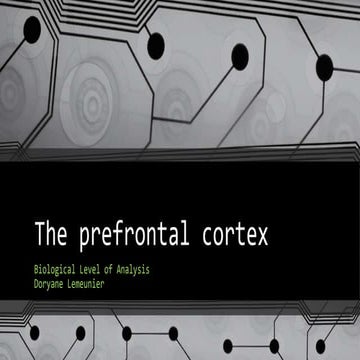 The prefrontal cortex: What is it? Its functions, Its dysfunctions and some e...