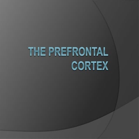 The Prefrontal Cortex