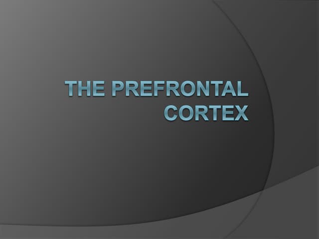 The Prefrontal Cortex