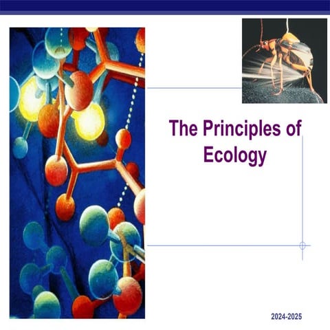 The principle of ecology for biology students