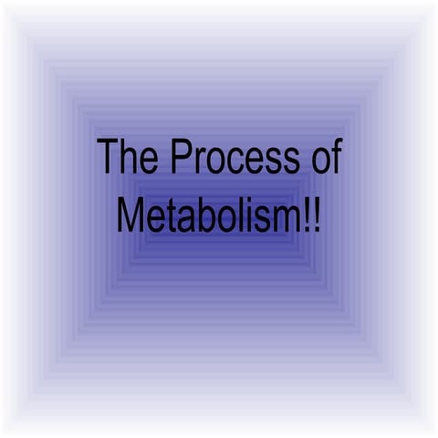 The process of metabolism!!