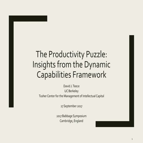 The Productivity Puzzle: Insights from the Dynamic Capabilities Framework