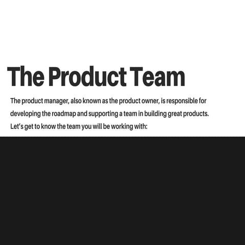 The product team product school