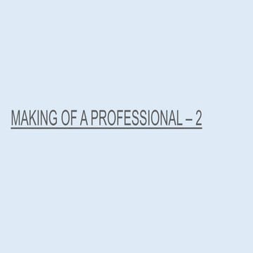 The professional 02 | PPTX