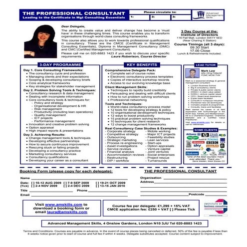 The Professional Consultant