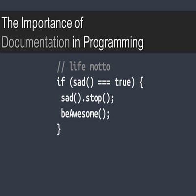 The Importance of Documentation in Programming | PDF