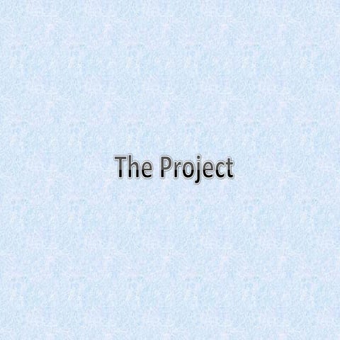 The Project 01