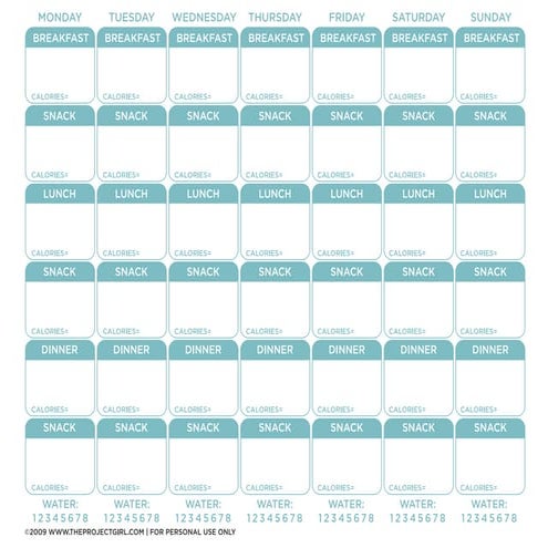 Theprojectgirl.com foodjournal