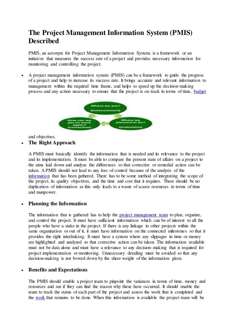 project on management information system