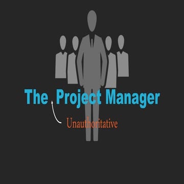 The Project Manager