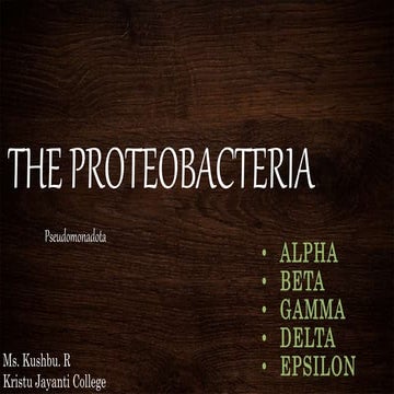 THE GENERAL PROPERTIES OF PROTEOBACTERIA AND ITS TYPES