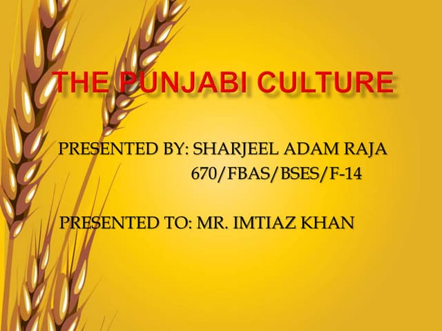 The Punjabi Culture