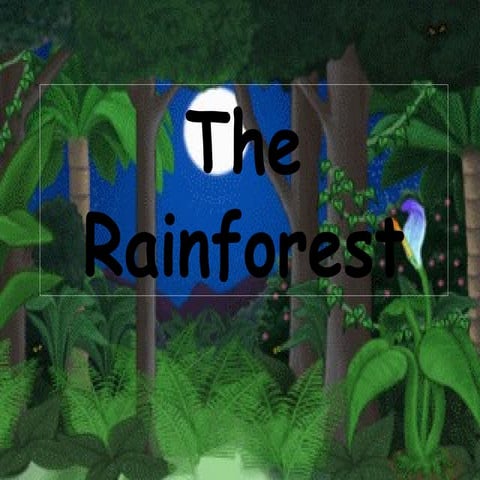 Major Rainforest Regions