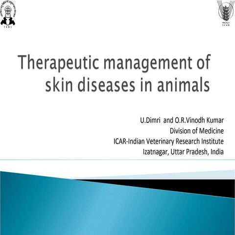 Therapeutic management of skin diseases in animals