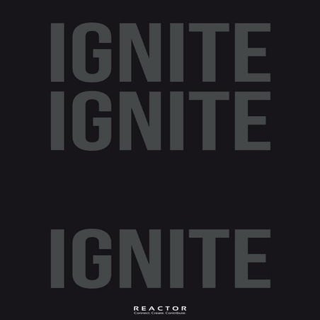 The Reactor Pitchbook