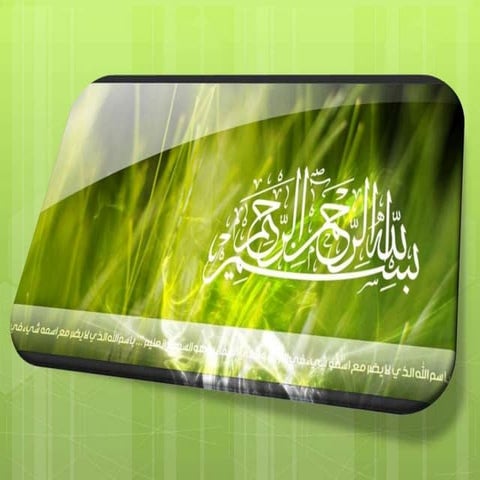 The Relation Between Vegetative And Reproductive Physiology Of Mango