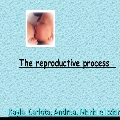 The reproductive process