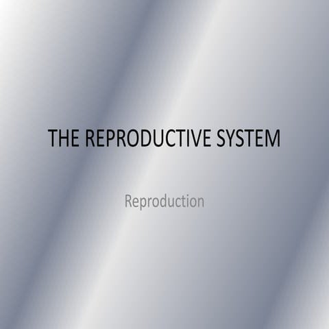 The reproductive system