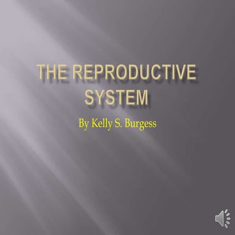 The reproductive system