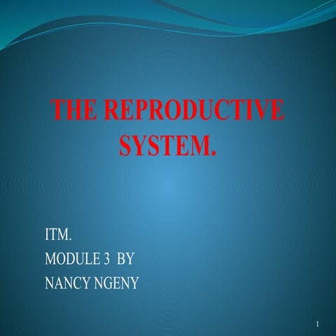 THE REPRODUCTIVE SYSTEM of human body simplified
