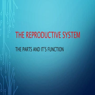 The Male and Female Reproductive System and it's functions