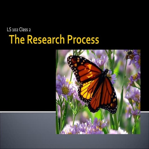 The Research Process