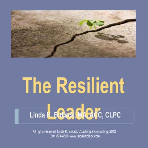 The Resilient Leader