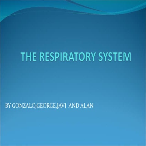 The respiratory system