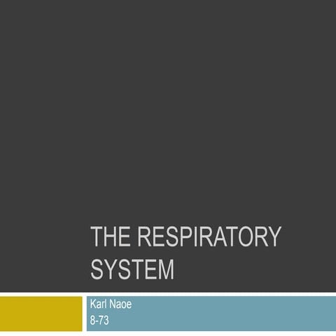 The respiratory system karln