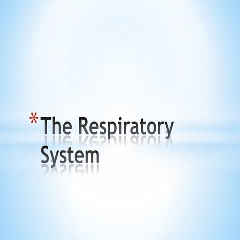 The respiratory system
