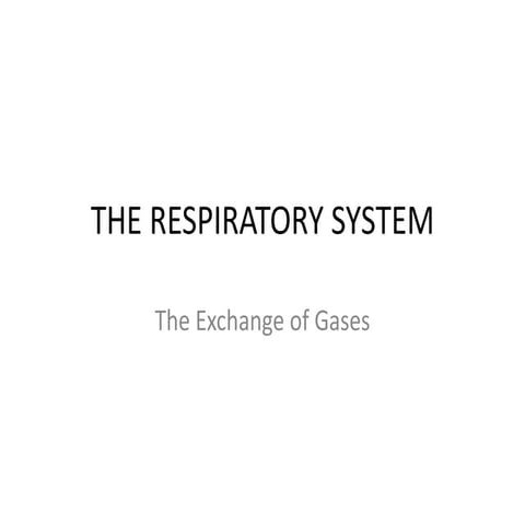 The respiratory system